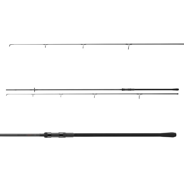 DAIWA Black Widow XT Carp zweiteilige Rute mit großem Startring